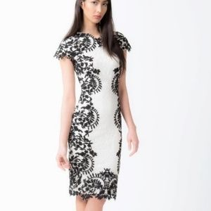 Tadashi Shoji Contrast Dress